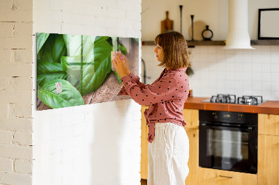 Magnetisch wandbord Basilicumblaadjes