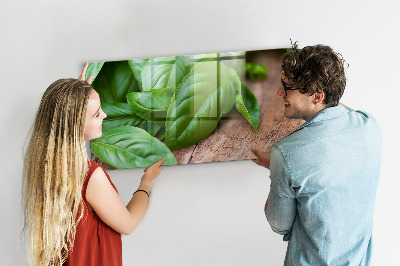 Magnetisch wandbord Basilicumblaadjes