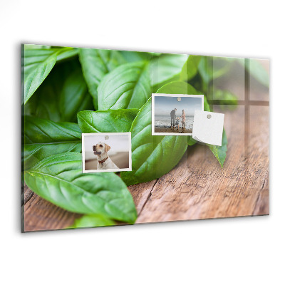 Magnetisch wandbord Basilicumblaadjes