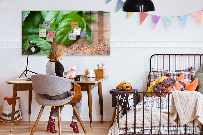 Magnetisch wandbord Basilicumblaadjes