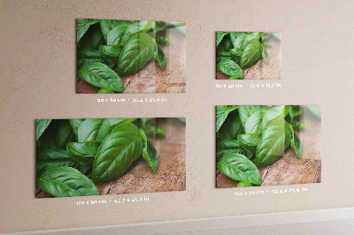 Magnetisch wandbord Basilicumblaadjes