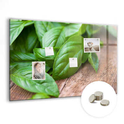Magnetisch wandbord Basilicumblaadjes