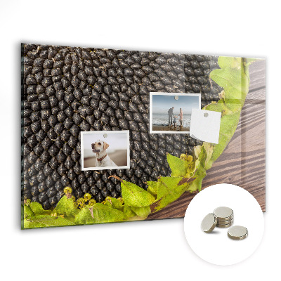 Magnetisch wandbord Zonnebloem