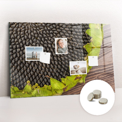 Magnetisch wandbord Zonnebloem