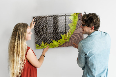 Magnetisch wandbord Zonnebloem