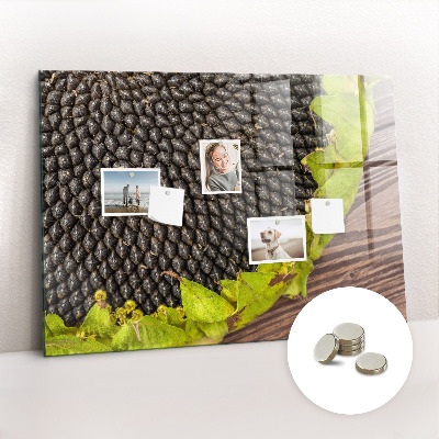 Magnetisch wandbord Zonnebloem