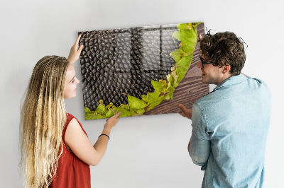 Magnetisch wandbord Zonnebloem