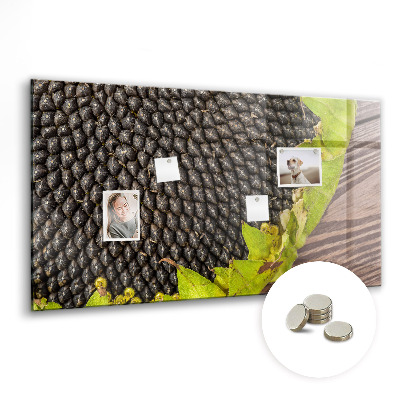 Magnetisch wandbord Zonnebloem