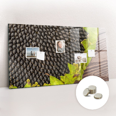 Magnetisch wandbord Zonnebloem