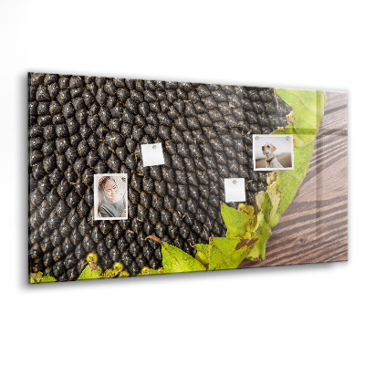 Magnetisch wandbord Zonnebloem