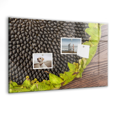 Magnetisch wandbord Zonnebloem