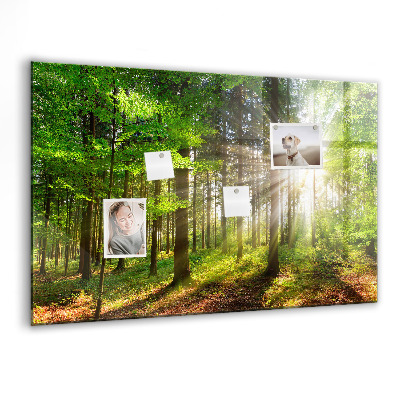 Magnet board Zonsopgang in het bos