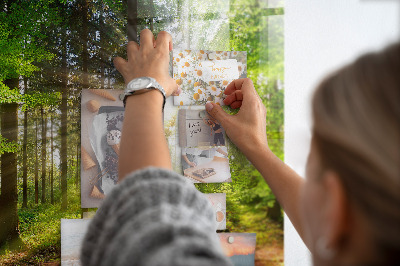 Magnet board Zonsopgang in het bos