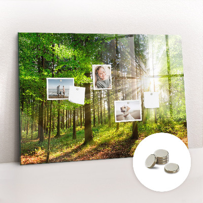 Magnet board Zonsopgang in het bos