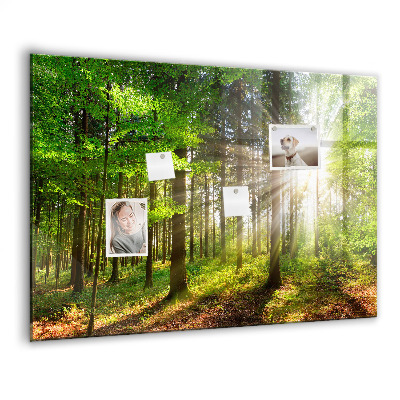 Magnet board Zonsopgang in het bos