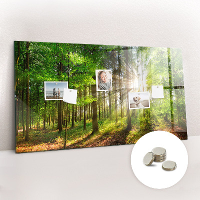Magnet board Zonsopgang in het bos