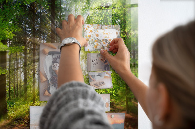 Magnet board Zonsopgang in het bos
