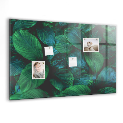 Magnetisch wandbord De natuur vertrekt