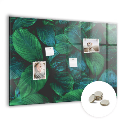 Magnetisch wandbord De natuur vertrekt