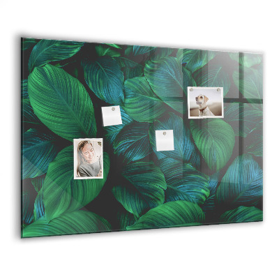 Magnetisch wandbord De natuur vertrekt