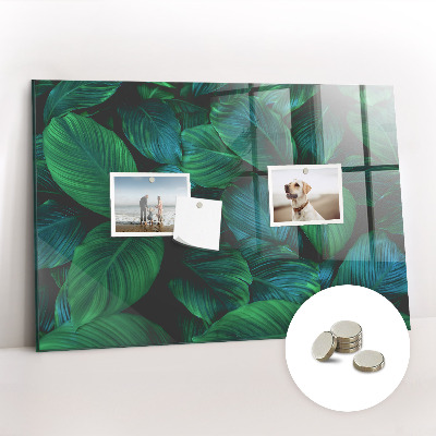 Magnetisch wandbord De natuur vertrekt