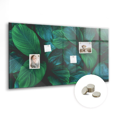 Magnetisch wandbord De natuur vertrekt