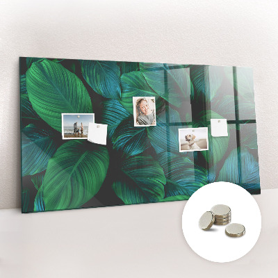 Magnetisch wandbord De natuur vertrekt