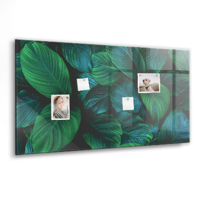 Magnetisch wandbord De natuur vertrekt