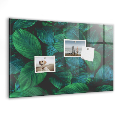 Magnetisch wandbord De natuur vertrekt