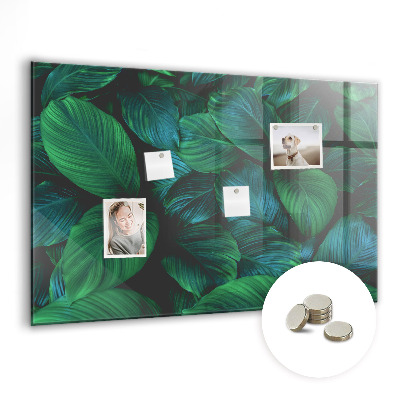 Magnetisch wandbord De natuur vertrekt