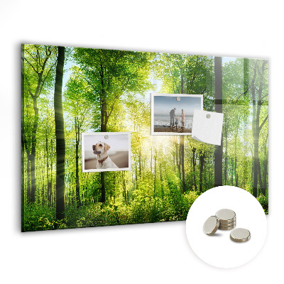 Magnet board Natuurbosbomen