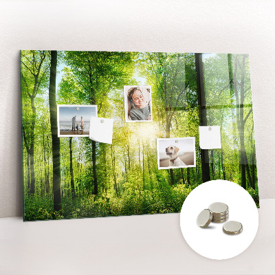 Magnet board Natuurbosbomen