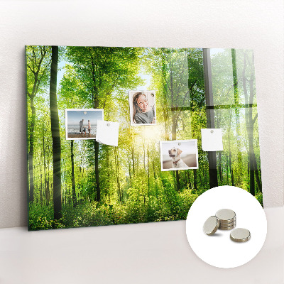 Magnet board Natuurbosbomen