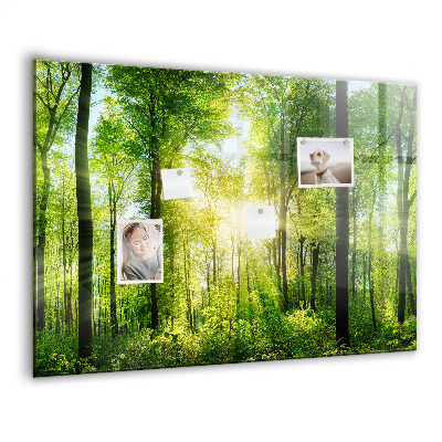 Magnet board Natuurbosbomen