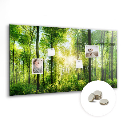 Magnet board Natuurbosbomen