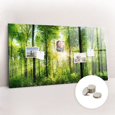 Magnet board Natuurbosbomen