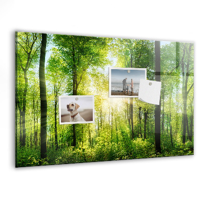 Magnet board Natuurbosbomen