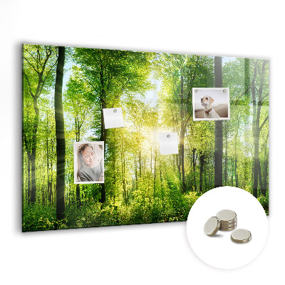 Magnet board Natuurbosbomen