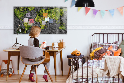 Magnetisch wandbord Wereldkaart