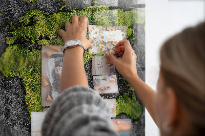 Magnetisch wandbord Wereldkaart