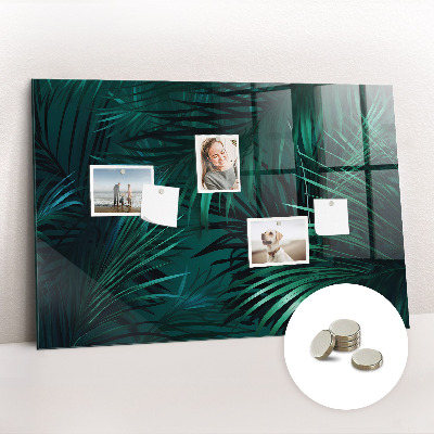 Magnetisch wandbord Tropische bladeren