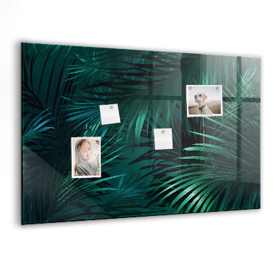 Magnetisch wandbord Tropische bladeren