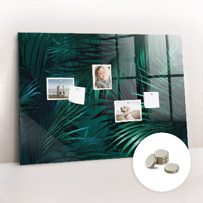 Magnetisch wandbord Tropische bladeren