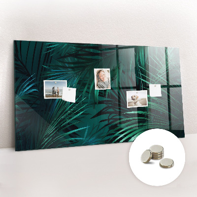Magnetisch wandbord Tropische bladeren