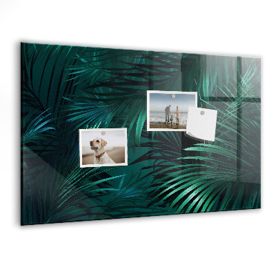 Magnetisch wandbord Tropische bladeren