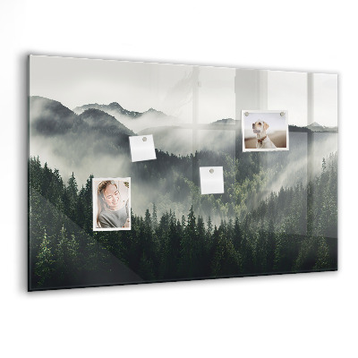 Magnetisch wandbord Boslandschap