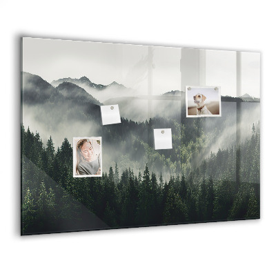 Magnetisch wandbord Boslandschap