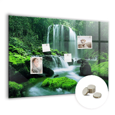 Memobord keuken Waterval tussen het mos