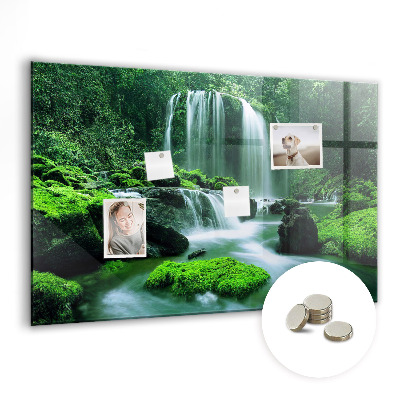 Memobord keuken Waterval tussen het mos