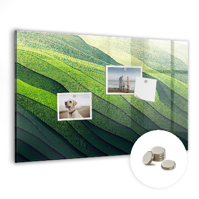 Magnet board Abstracte groene velden